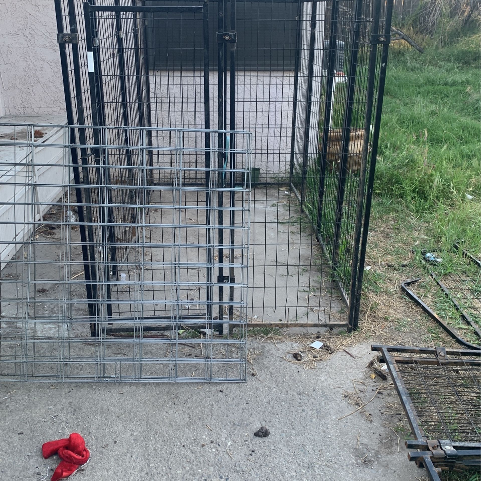 Dog Cage