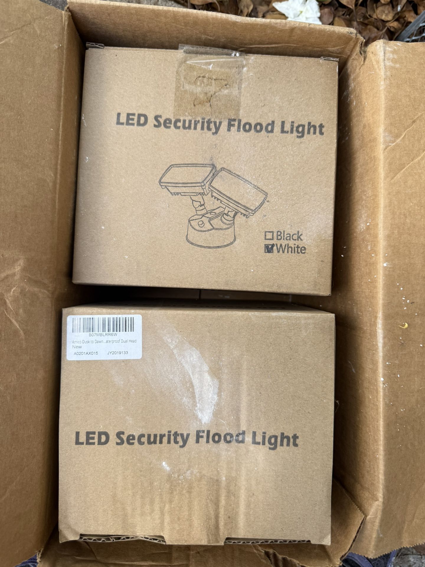 Flood Lights