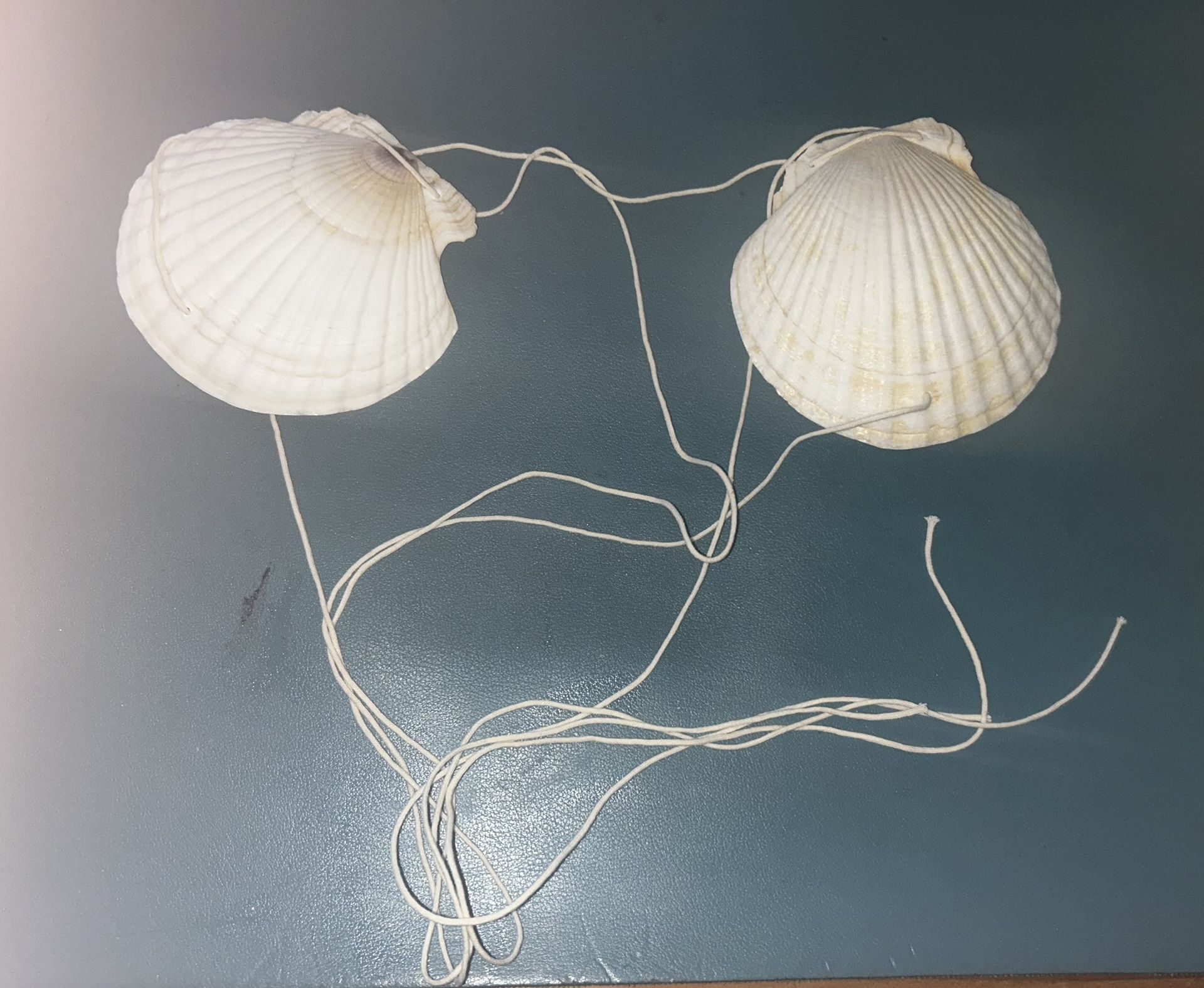 Handmade Seashell Bikini Top 🐚✨