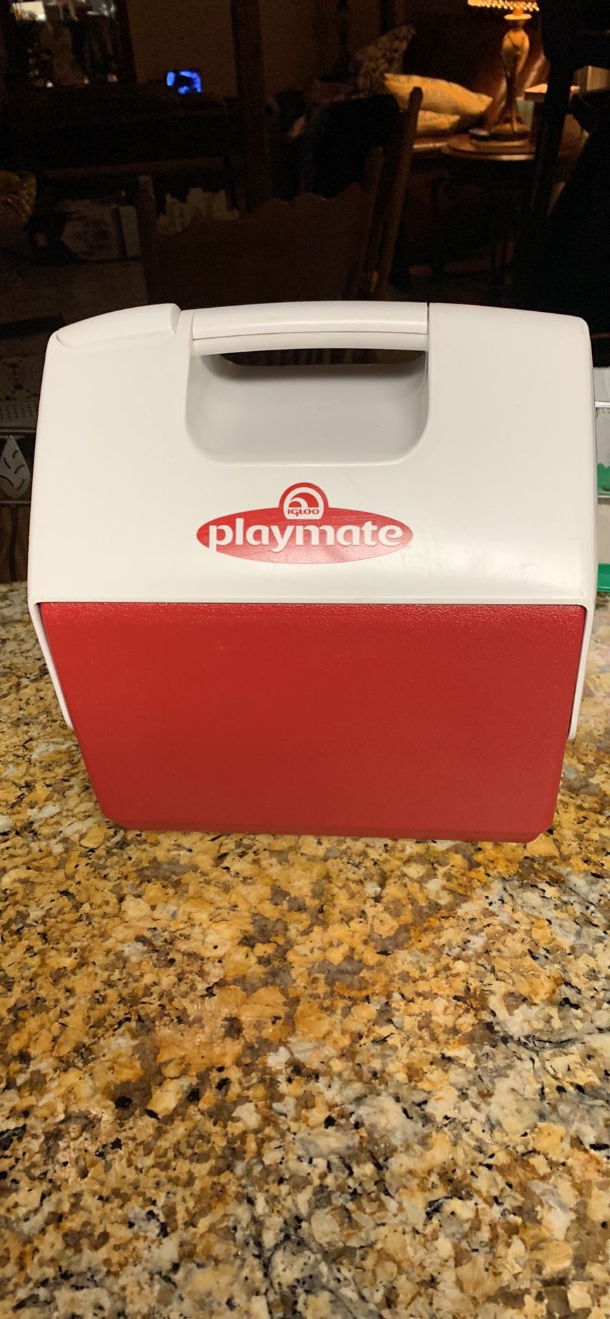 Igloo playmate personal cooler