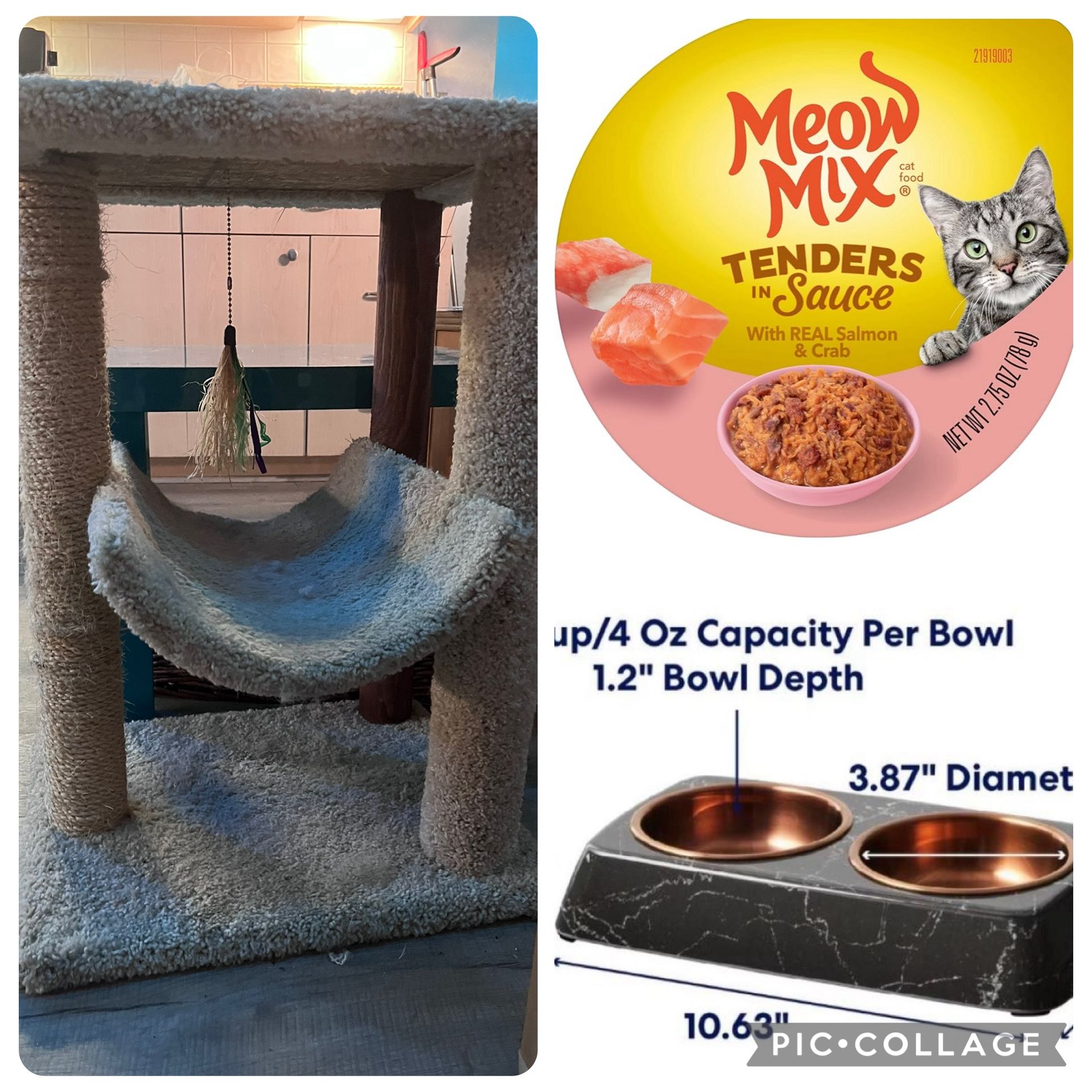 Cat Condo With Free Food And NIB Bowls