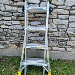 18ft Adjustable Ladder