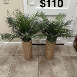 Artificial Plant 32”H $55 Each