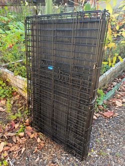 Large dog crate