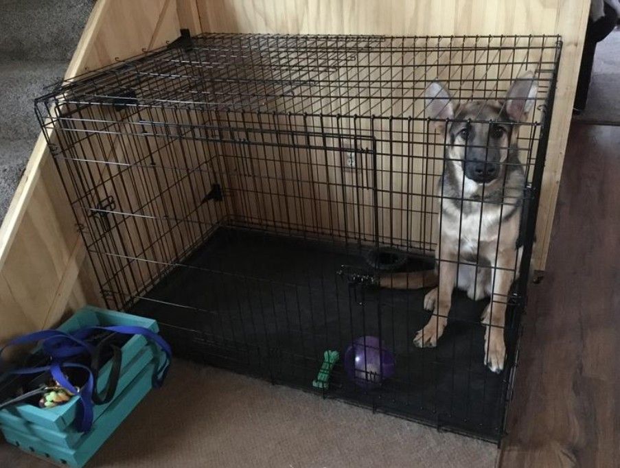 Large Dog Crate