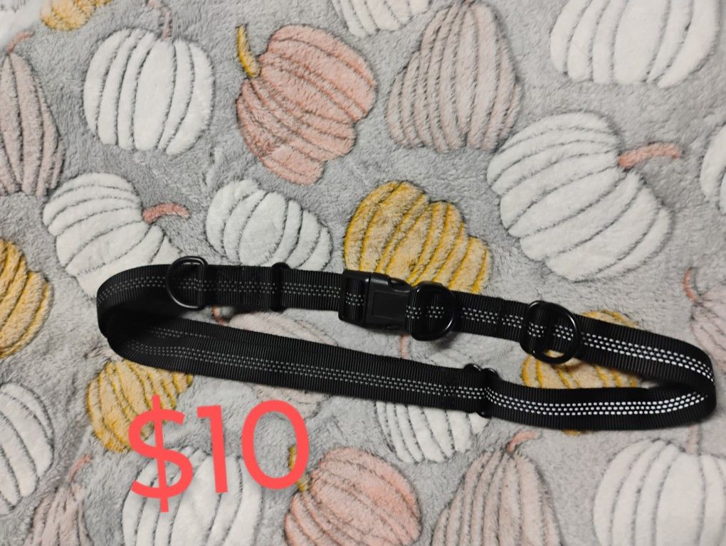 Dog Walking Belt