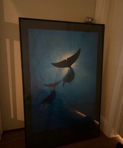 Framed Whale Underwater Photography Print