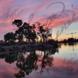 A Gorgeous Oasis Of Nature 