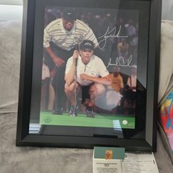 Tiger Woods Annika Sorenstam Upperdeck Sinn3d Wow!