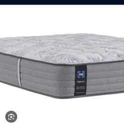 Twin Mattress Sealy Brand For Sale