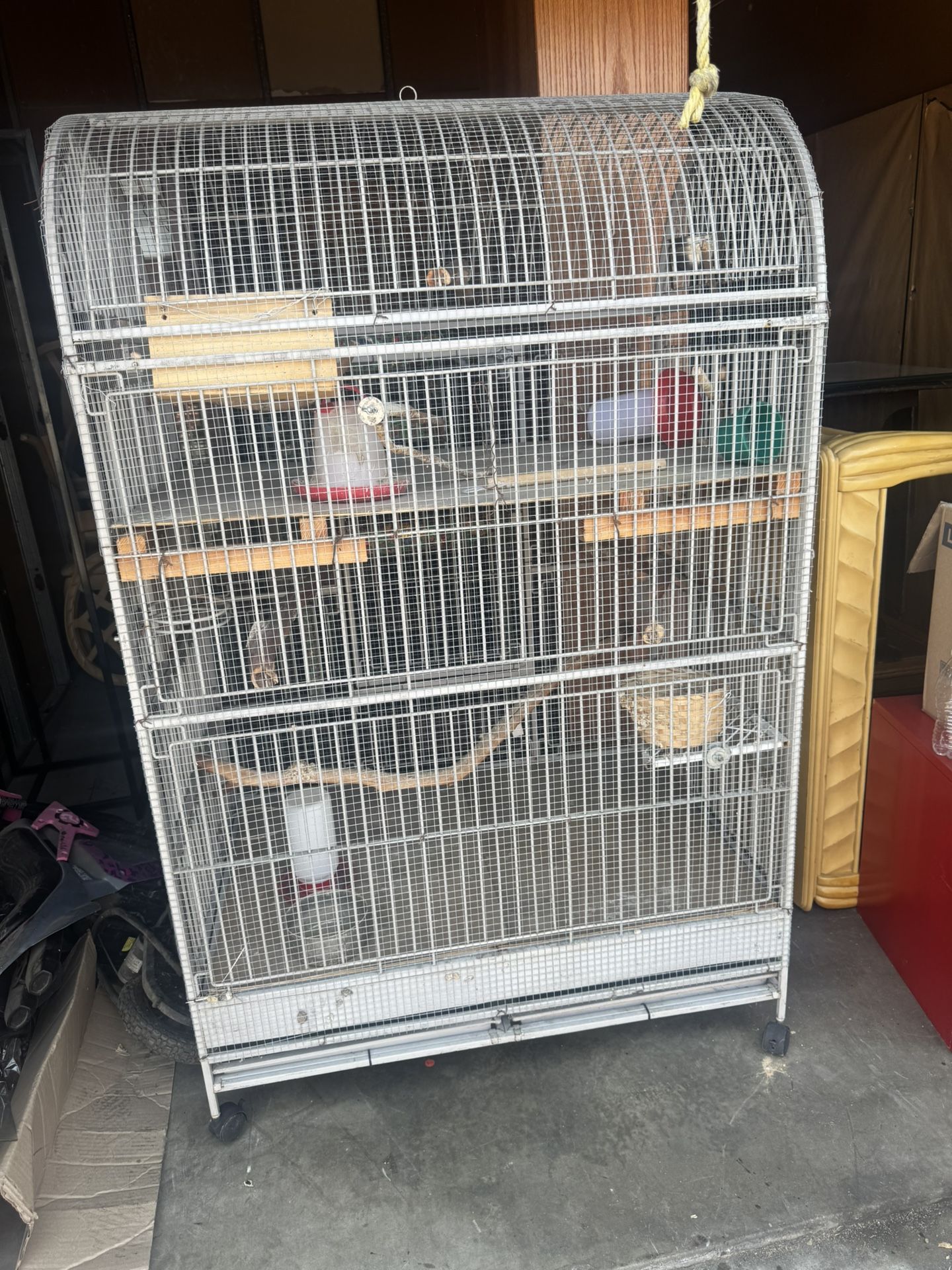 Bird Cage