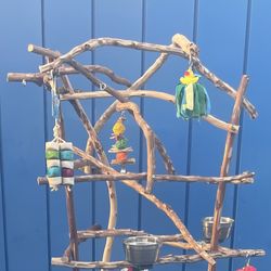 Parrot Perch Tree - African Grey - Amazon Sized And A Great New Birdee Hangout Spot !! Low Breeder Direct Wholesale Price !  