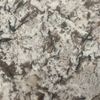Special Findings