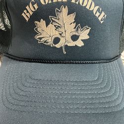 Vintage Green Big Oak Lodge San Sun Trucker Snap Back Hat