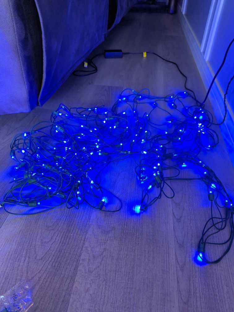 Christmas Net Lights  &  Cord Protectos