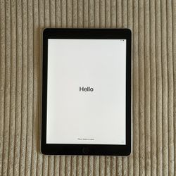 iPad Air 2