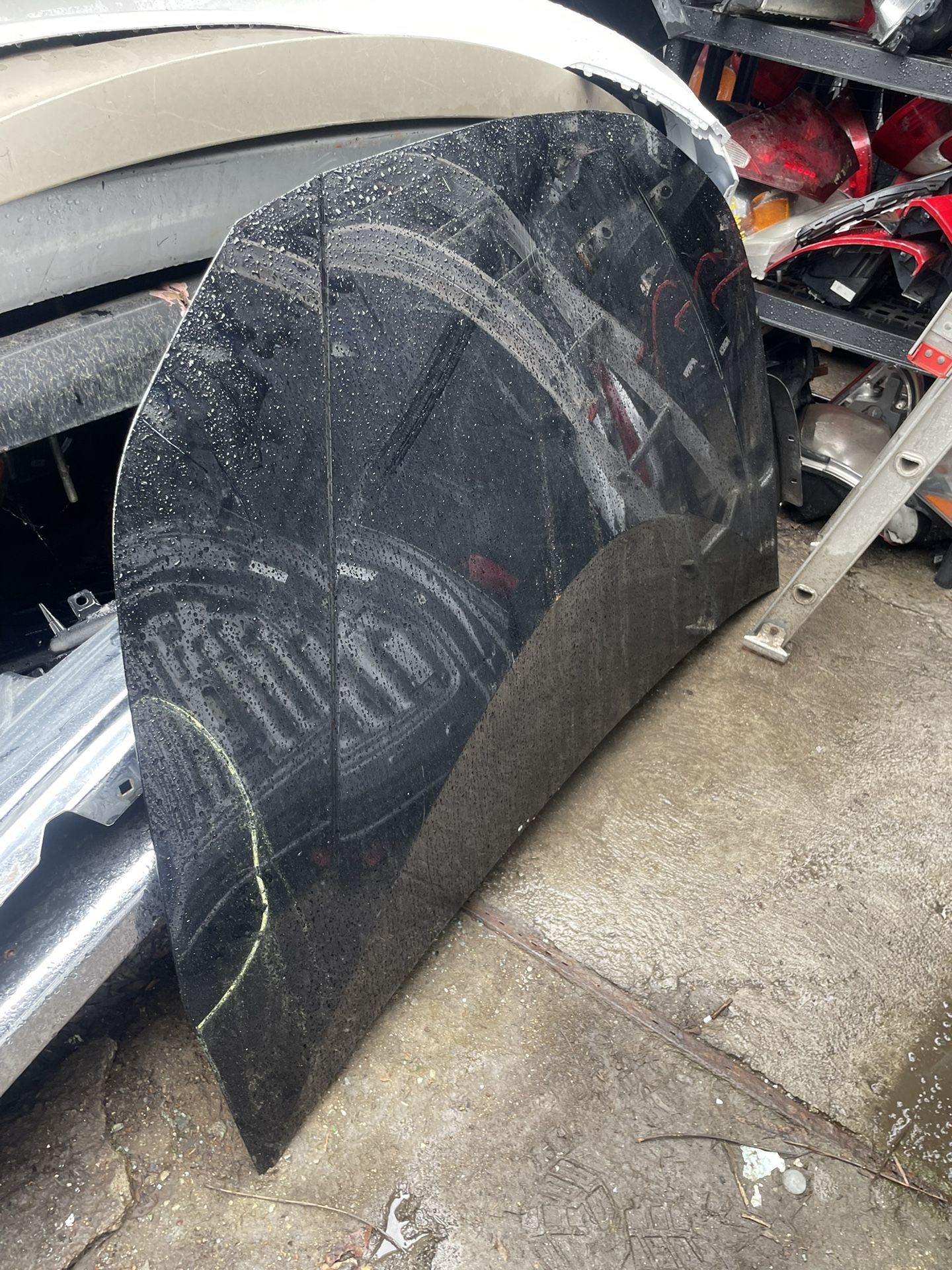 2021 Toyota Prius Hood OEM