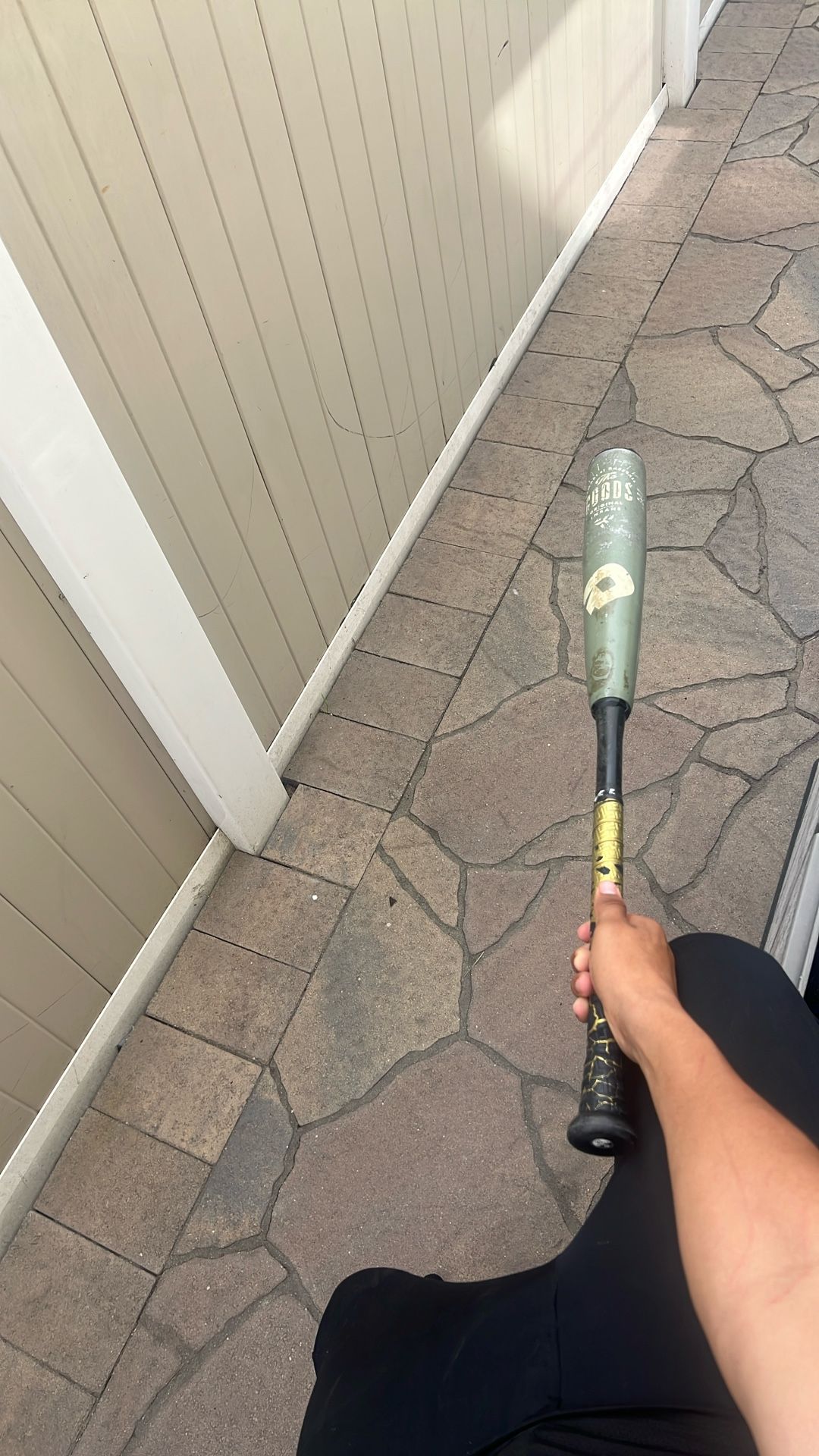 Baseball Bat