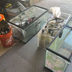 40 Gallon Fish Tank And 45 Gallon Tank 2 Tanks!