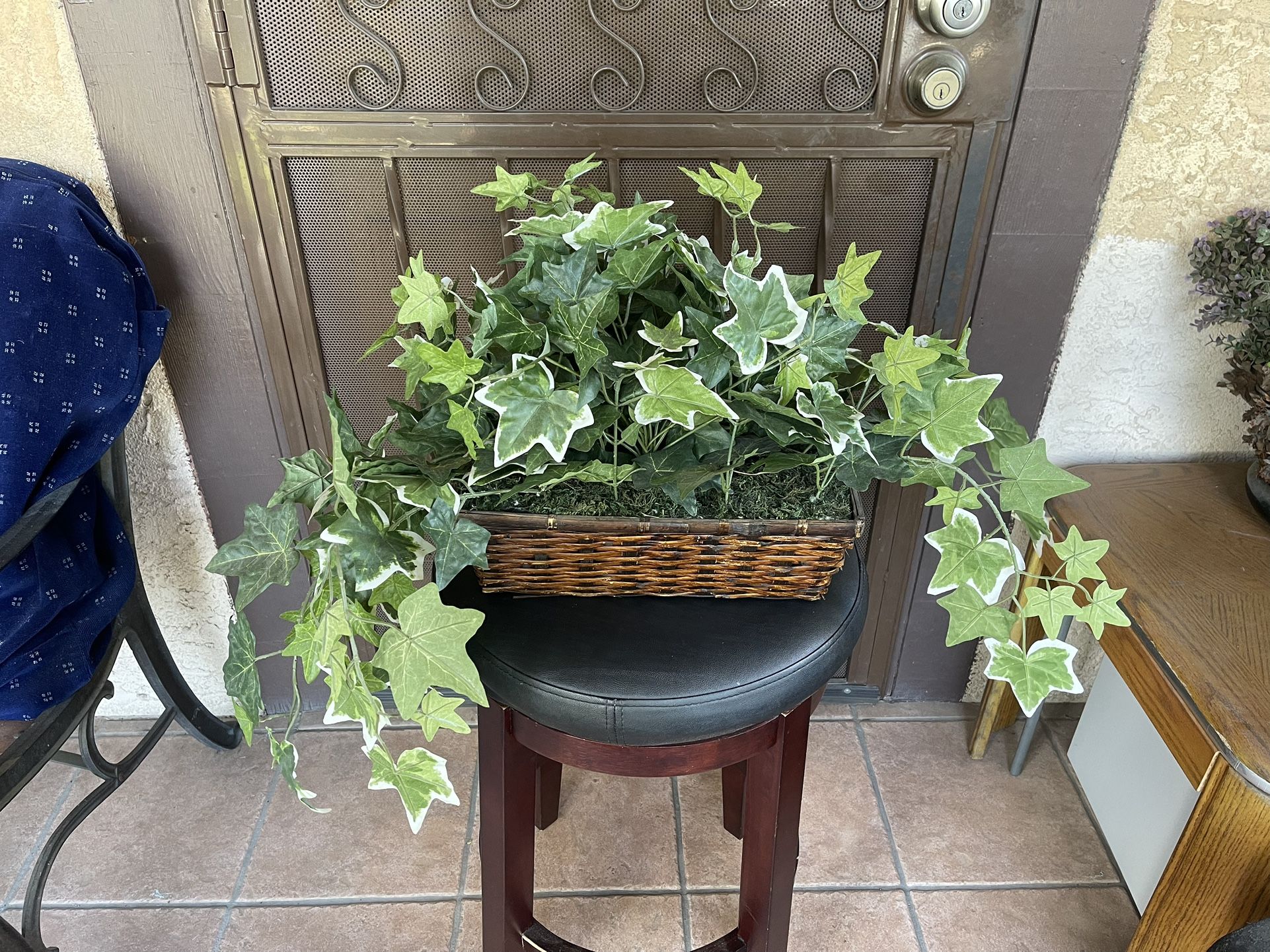 Fake Plant