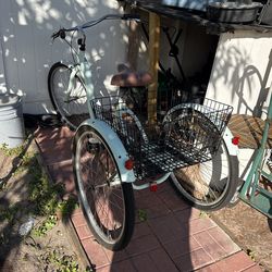Adulto Triciclo