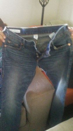 True religion pant