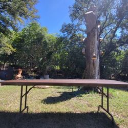 8ft Folding Table As Is Local Only. 