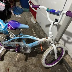 Frozen Bike 