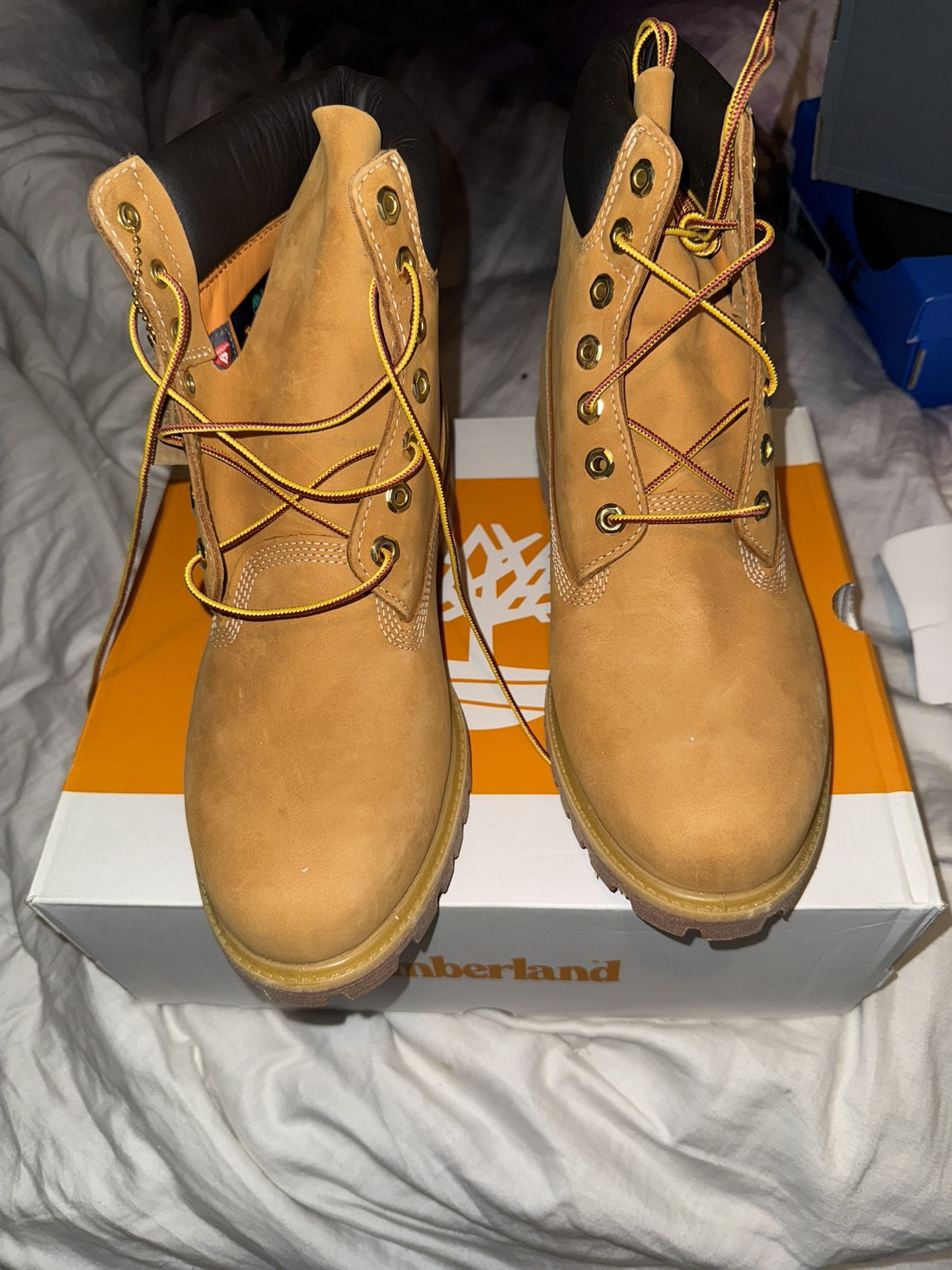 Brand New Timberlands!