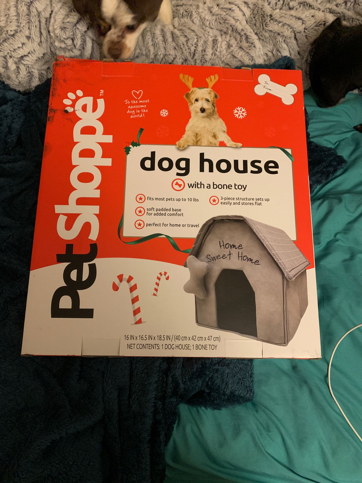 New plush dog house