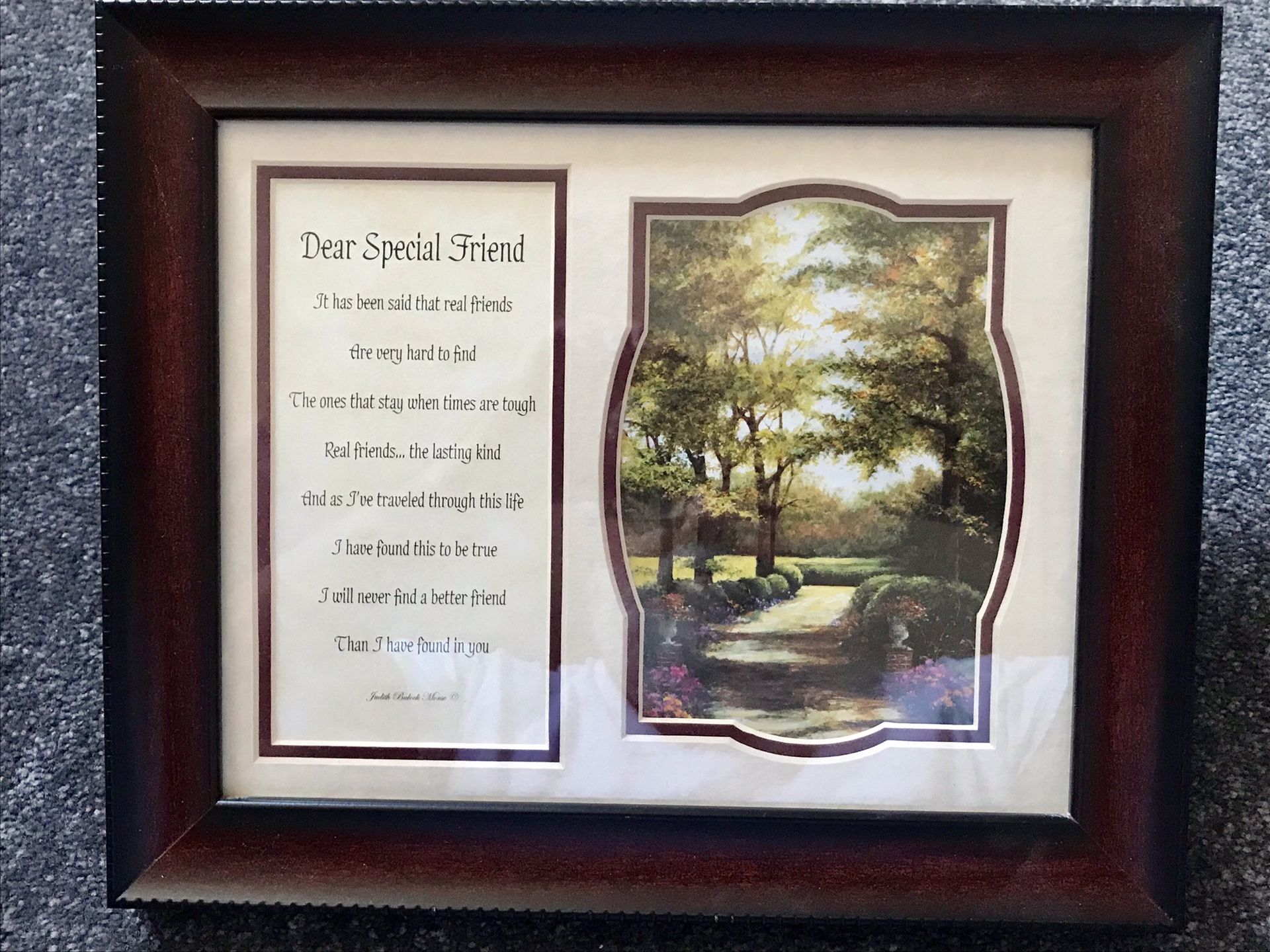 ‘SPECIAL FRIEND’ - FRAMED PHOTO & POEM...