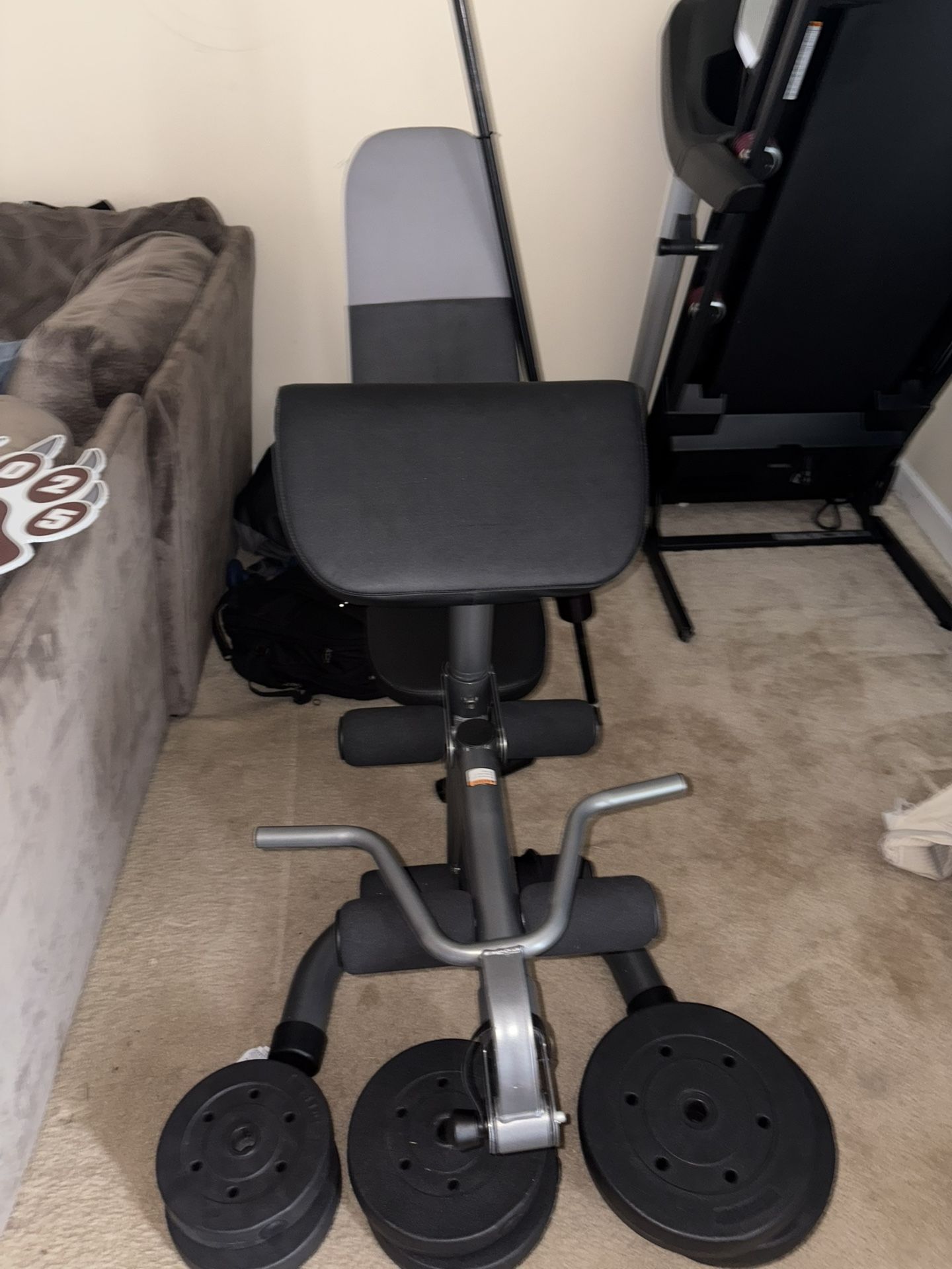 Bench with bar and 3 sets of weights