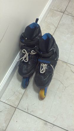 Old schwinn roller blades