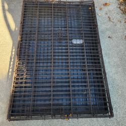 XXL Folding Dog Crate