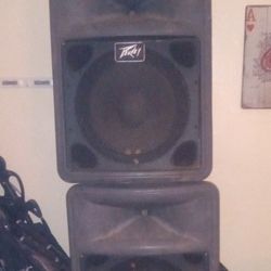 Peavey Concert Speakers 