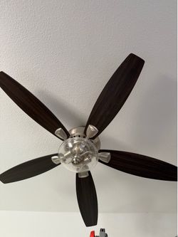 Ceiling fan