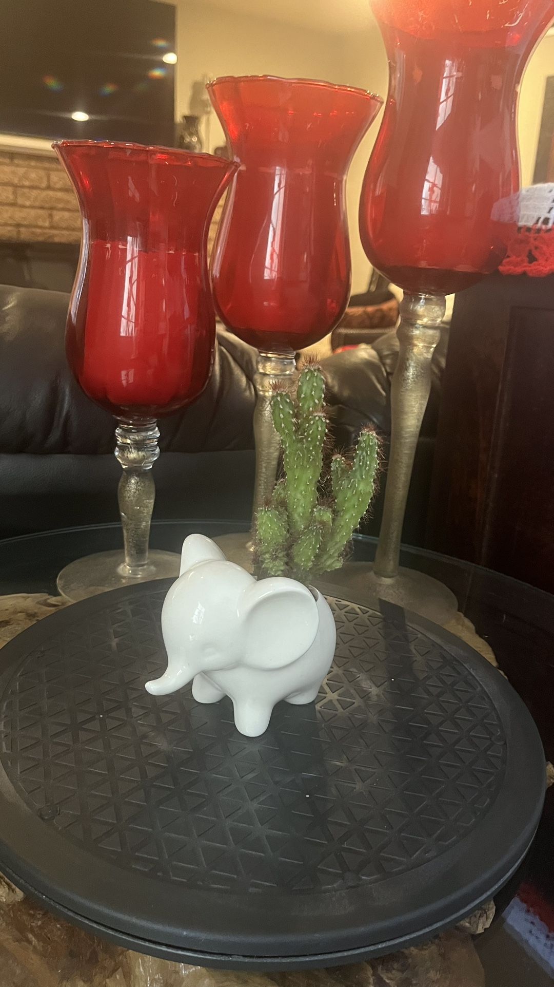 Very Healthy Cereus Peruvianus Cactus In Cute Little Elephant Vase