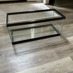 20 Gallon Long Aquarium (Brand New)