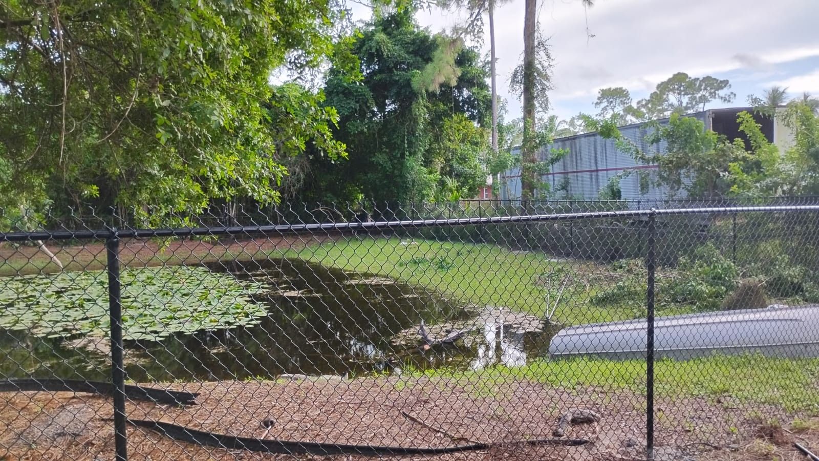 Fence