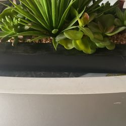Fake Plants