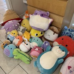 Squishmallows !!! 
