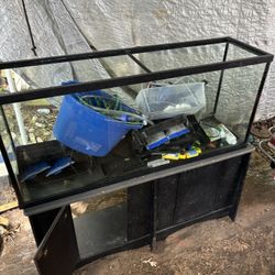 55 Gallon Aquarium