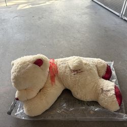 Large Plush Teddy bear Sleeping W/ “te quiero mucho” words on the belly