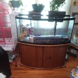 Seventy Two Gallon Bow Front Fish Tank Included Two  Filters One Emperor 400 And Aqueon  Quiet Flow 75 ,Seven Plastic Plants One Marineland Led Light.
