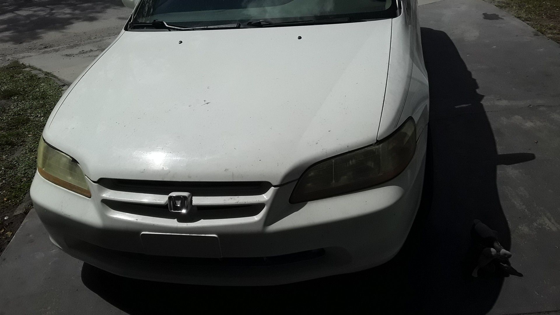 Need the money for now just got a tire damage and need batery but yhe other things are good