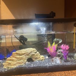 7.5 Gallon Fishtank