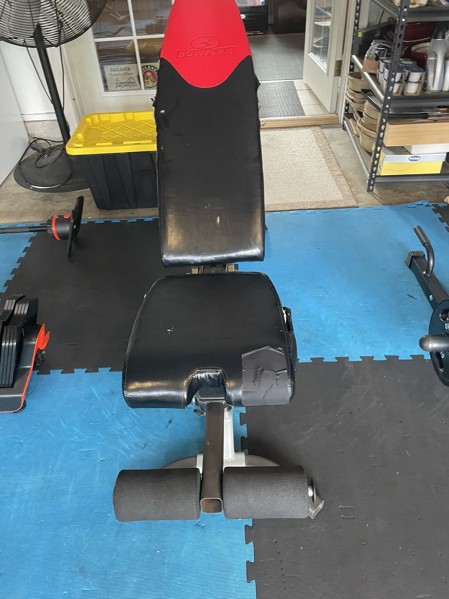 Bowflex Weight Bench