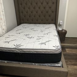 Queen Size Bed With Box Spring And Mattress 
