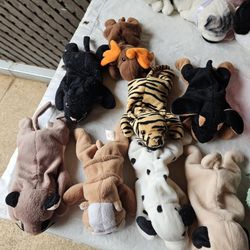 Beanie  babies collection Ty $60.00 X todos