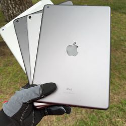 iPads 5 / 6 / 8 / Pro